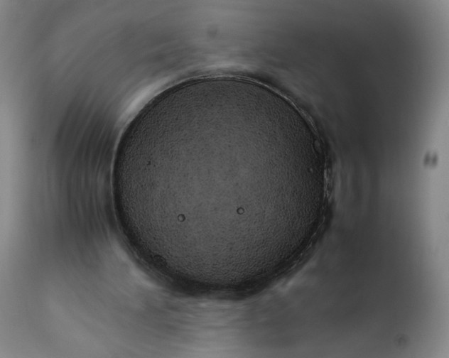 X0000111430196200907271113