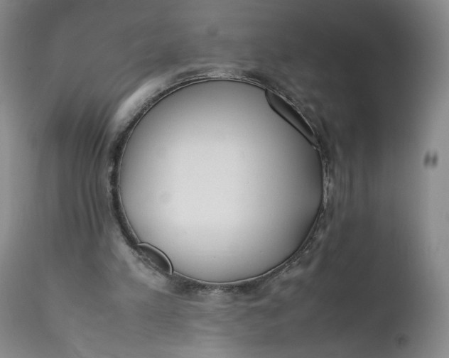 X0000111430197200907271113