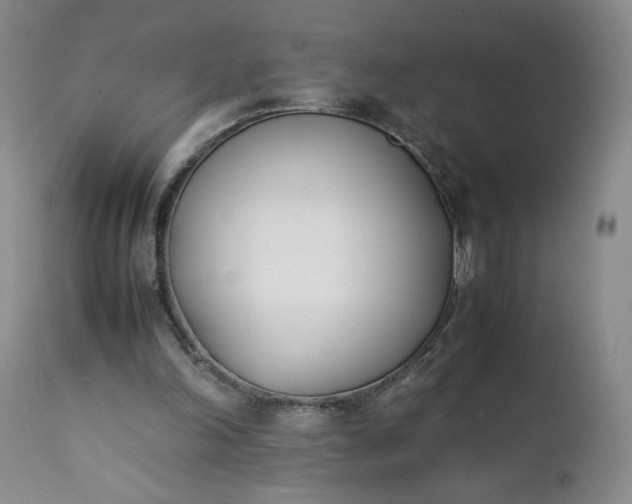 X0000111430198200907271113