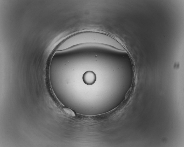 X0000111430199200907271113