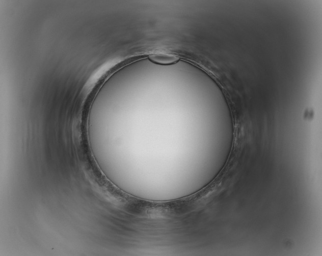 X0000111430200200907271113