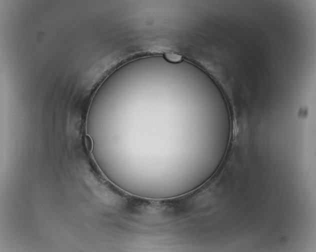 X0000111430201200907271113