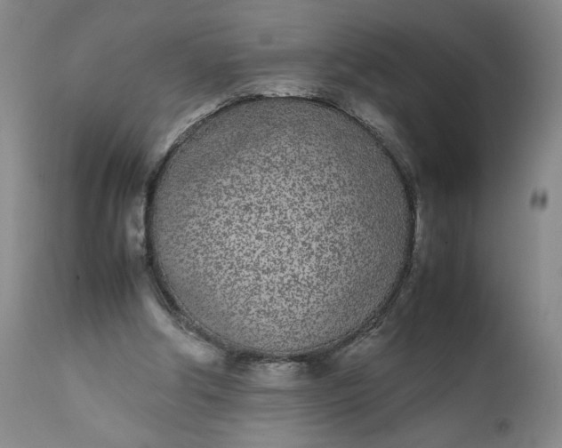 X0000111430202200907271113