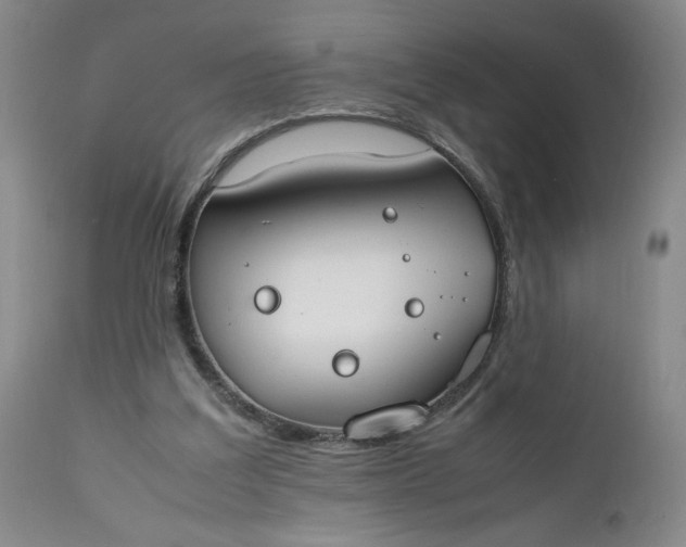 X0000111430203200907271113