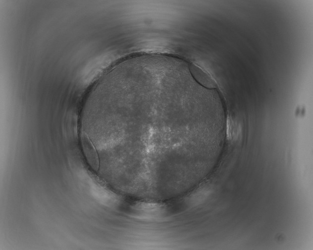 X0000111430205200907271113