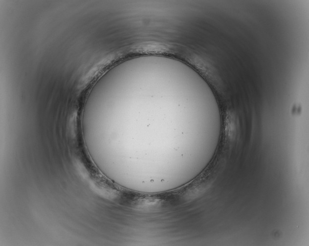 X0000111430206200907271113