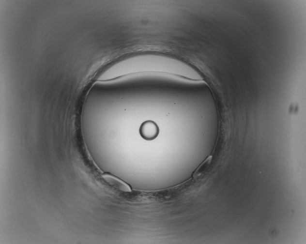 X0000111430207200907271113