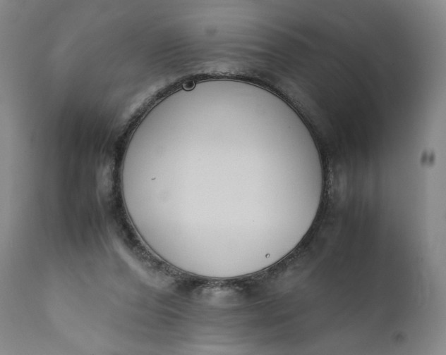 X0000111430208200907271113