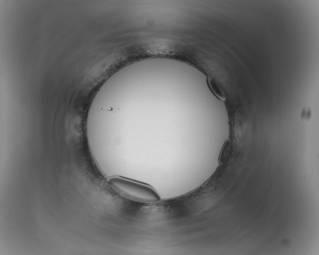 X0000111430211200907271113