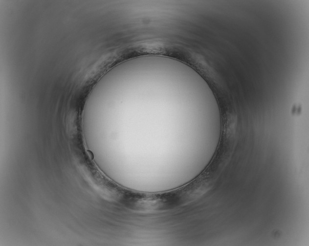 X0000111430213200907271113