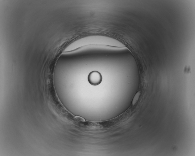 X0000111430215200907271113