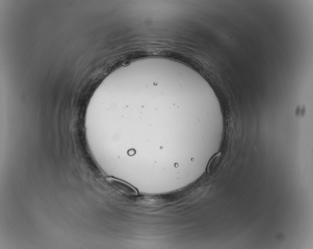 X0000111430221200907271113