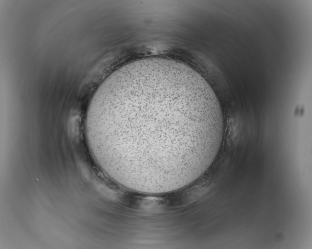 X0000111430222200907271113