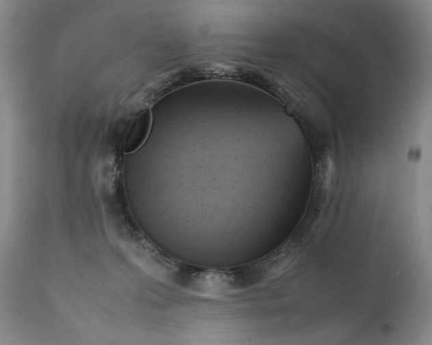 X0000111430223200907271113