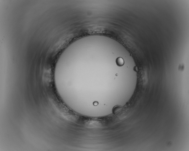 X0000111430224200907271113