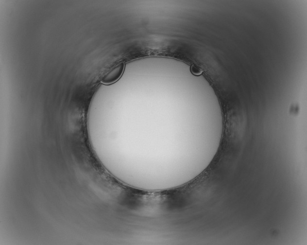 X0000111430225200907271113