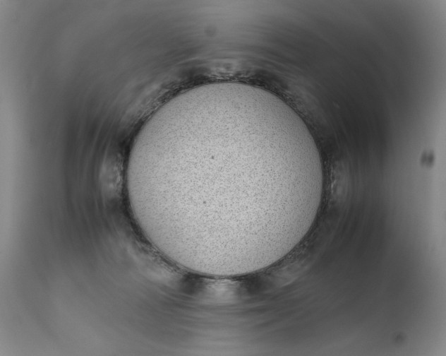 X0000111430226200907271113