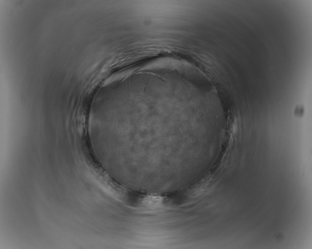 X0000111430227200907271113