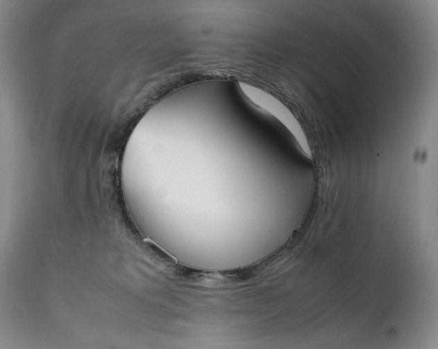 X0000111430229200907271113