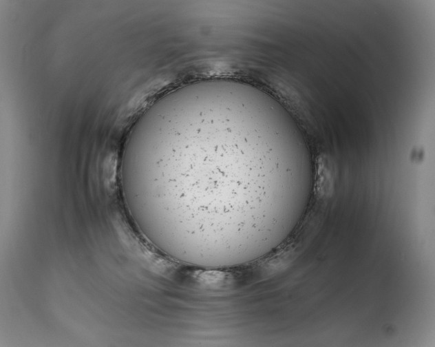 X0000111430230200907271113