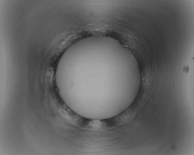 X0000111430231200907271113