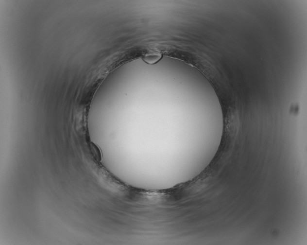 X0000111430233200907271113