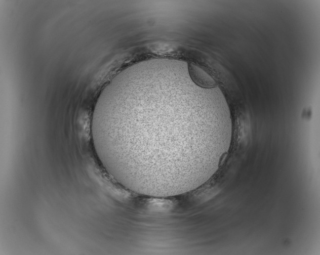 X0000111430234200907271113