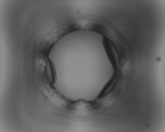 X0000111430235200907271113