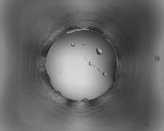 X0000111430237200907271113