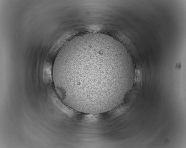 X0000111430238200907271112