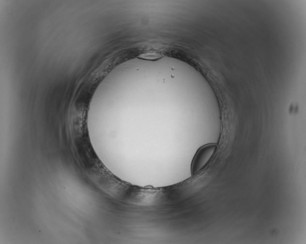 X0000111430240200907271112