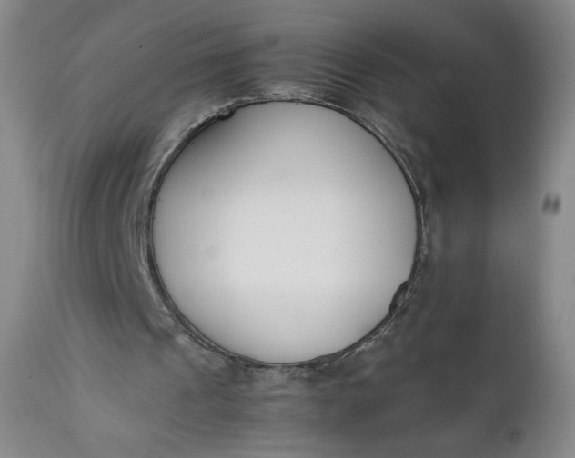 X0000111430241200907271111