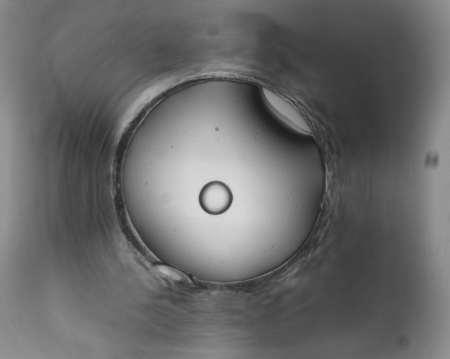 X0000111430244200907271112