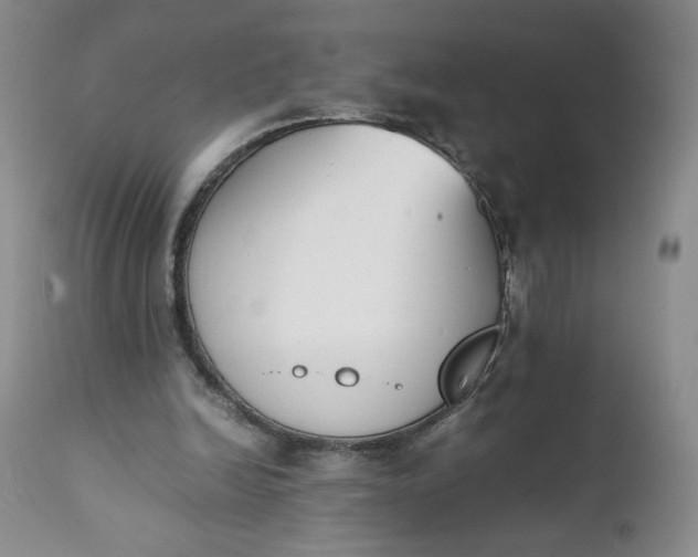 X0000111430246200907271112