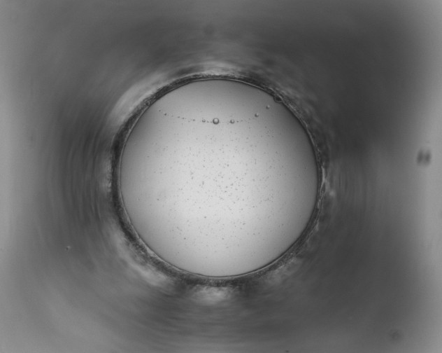 X0000111430247200907271112