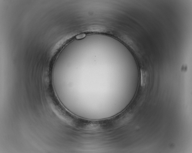 X0000111430252200907271112