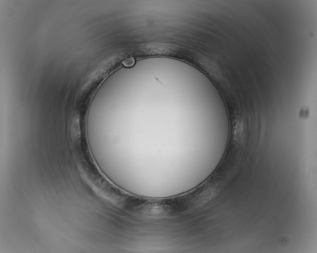 X0000111430254200907271112