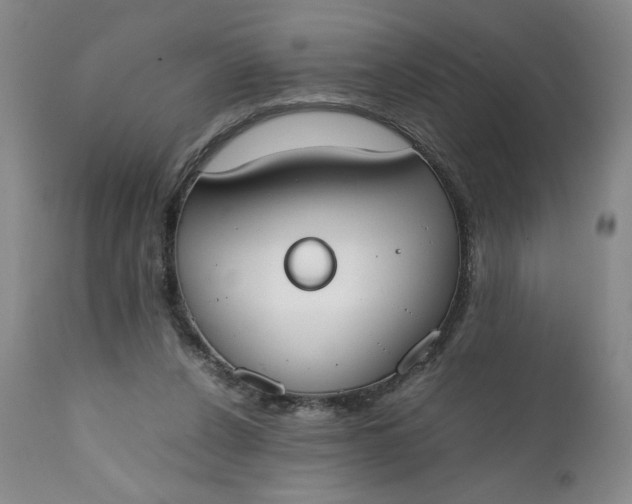 X0000111430256200907271112