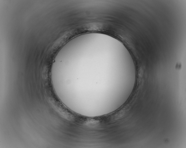 X0000111430257200907271112