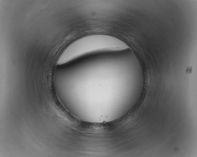 X0000111430260200907271112