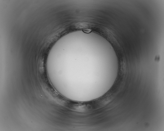 X0000111430267200907271112