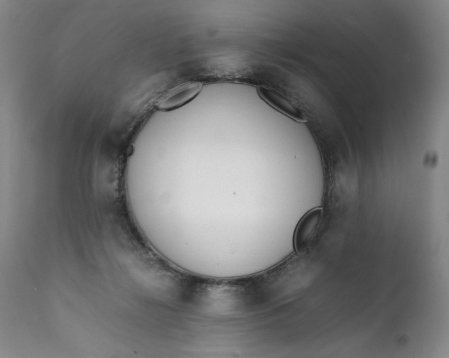 X0000111430268200907271112