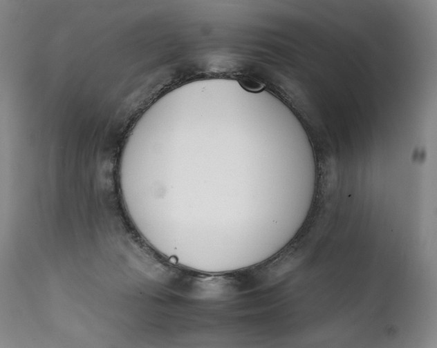 X0000111430269200907271112