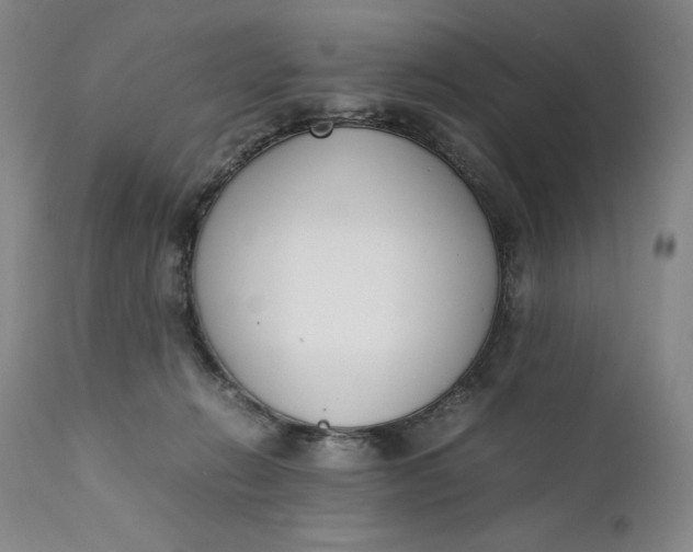 X0000111430270200907271112