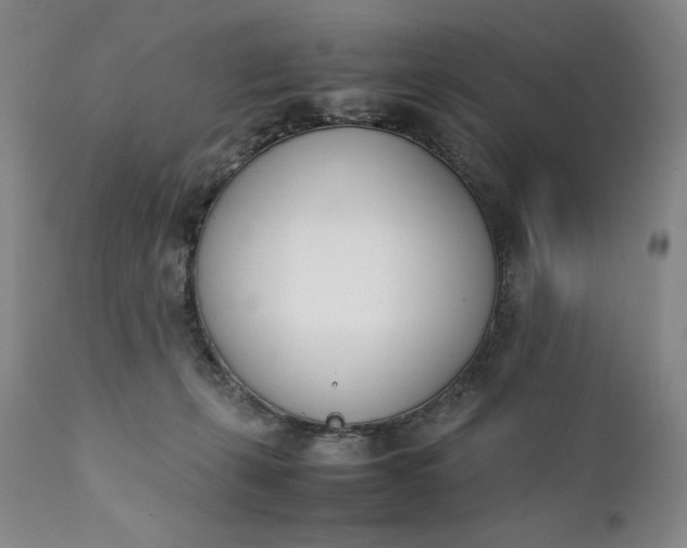 X0000111430271200907271112