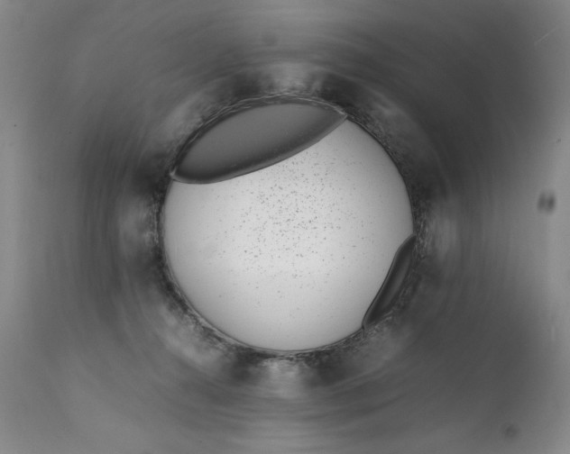 X0000111430272200907271112