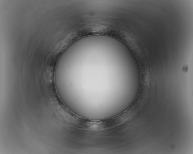 X0000111430273200907271112