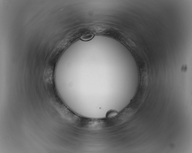 X0000111430274200907271112