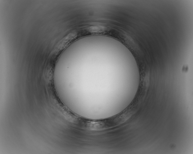 X0000111430277200907271112