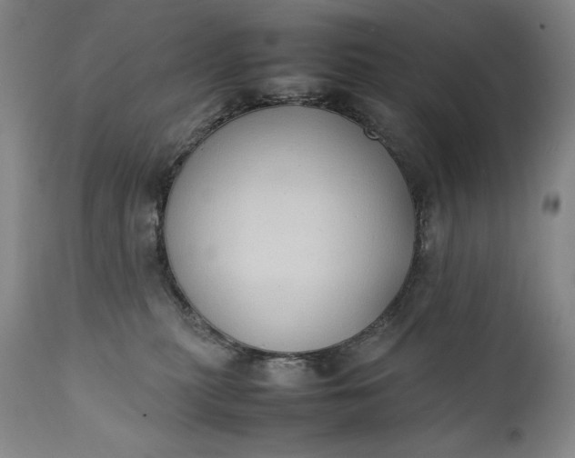 X0000111430279200907271112